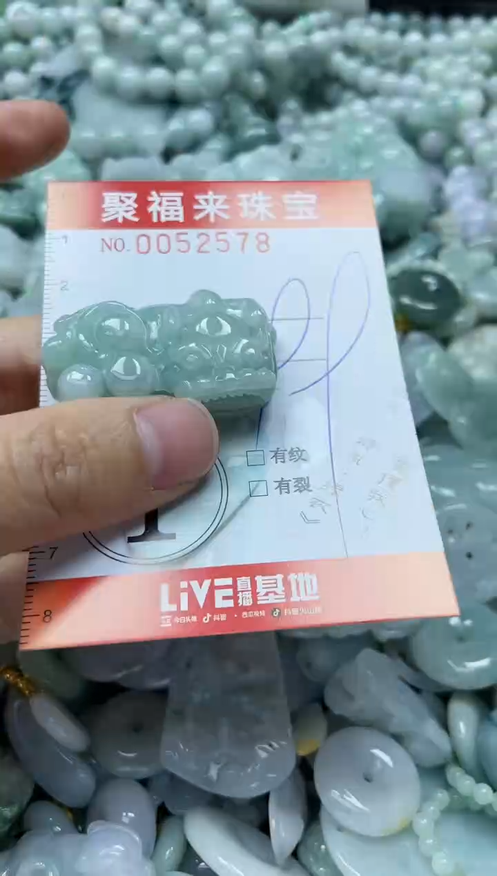 【闪购商品】翡翠颈饰未镶嵌闪购0052578