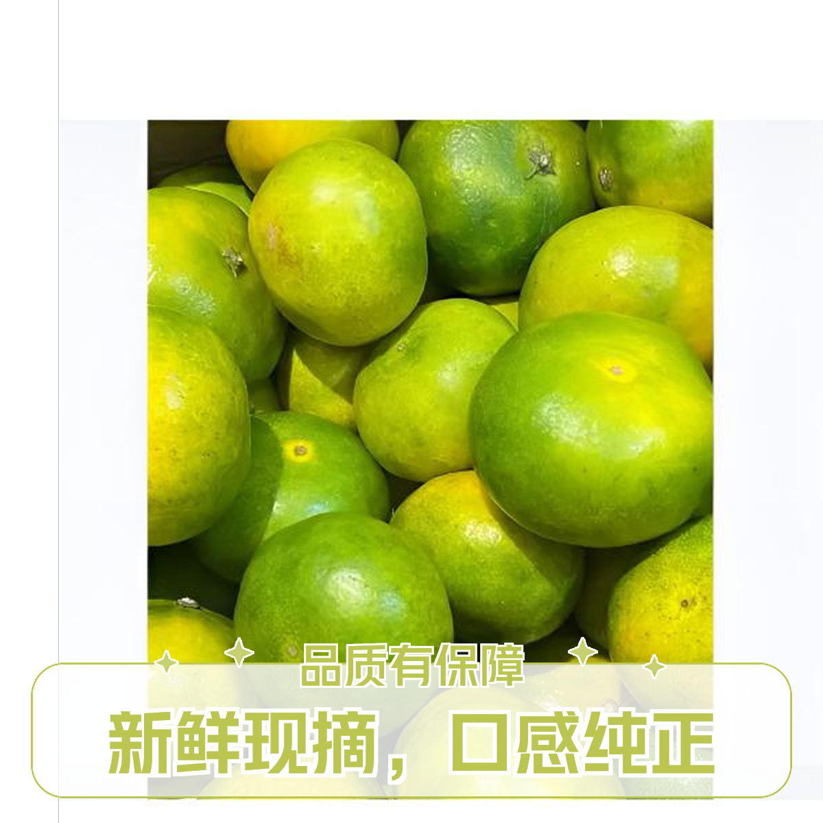 酸甜爆汁   高山 青皮蜜桔  15.8元3斤（1500克）（酸甜）回忆童年的味道云南省