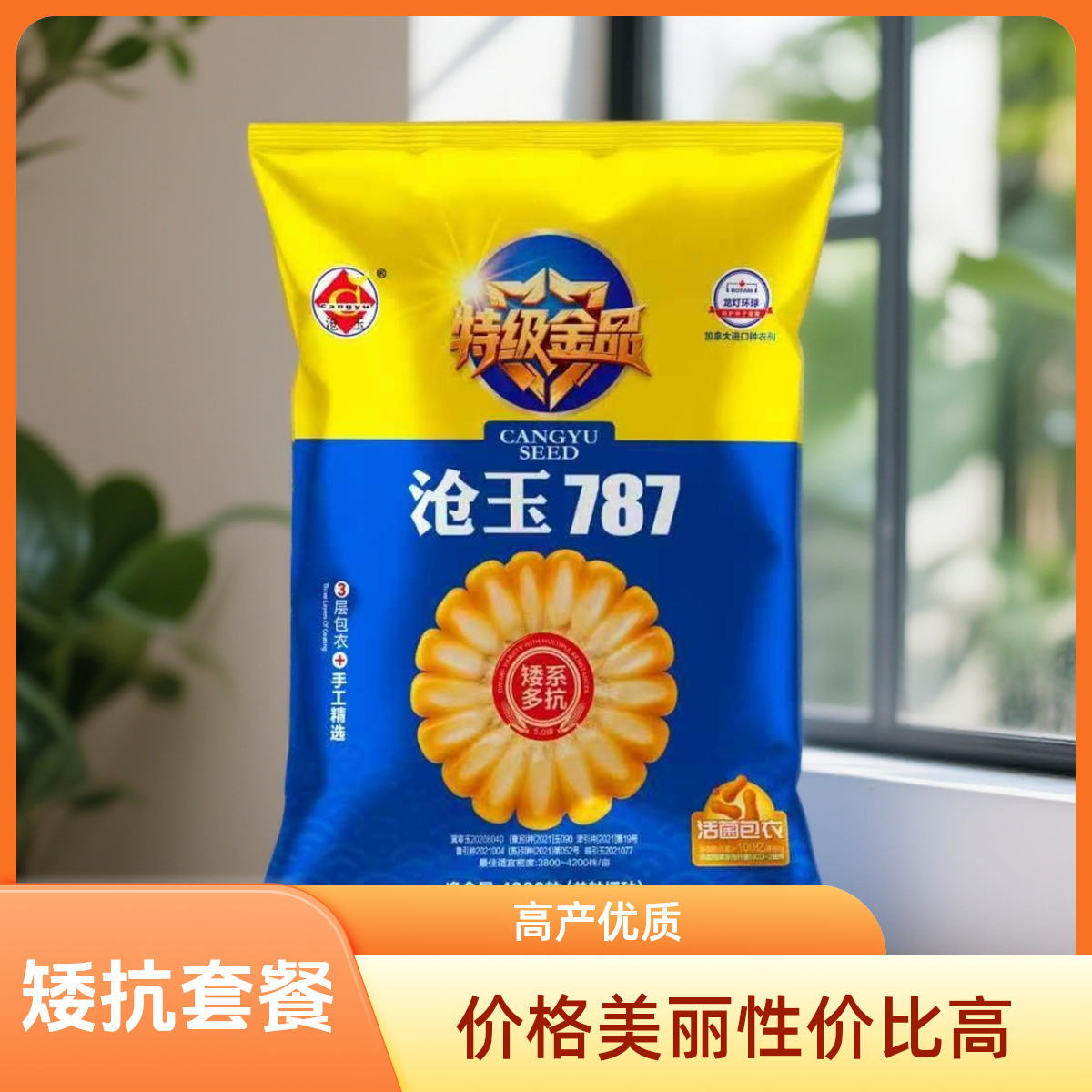 矮系多抗版沧玉787＋高产宝套餐