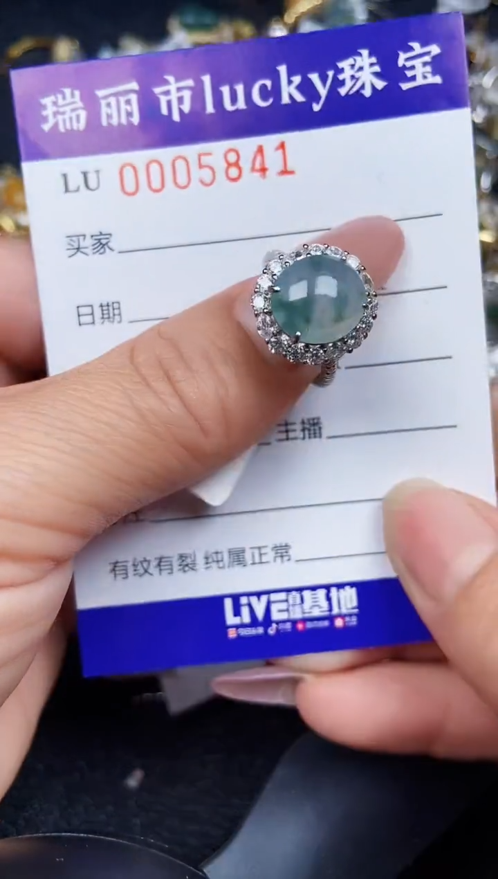 翡翠银S925镶嵌颈饰5841