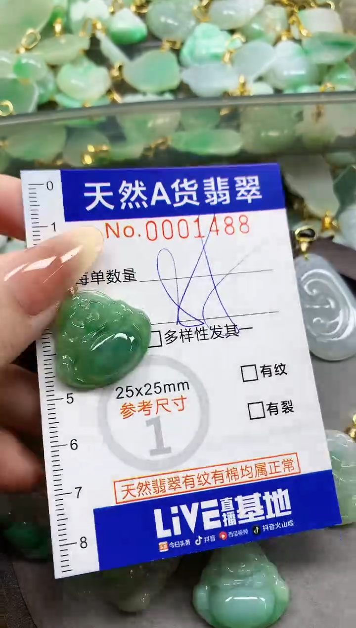 颈饰未镶嵌翡翠天然A货翡翠