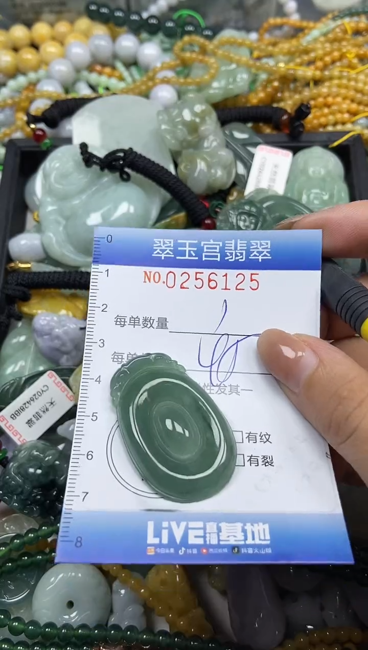 颈饰未镶嵌翡翠闪购C0256125