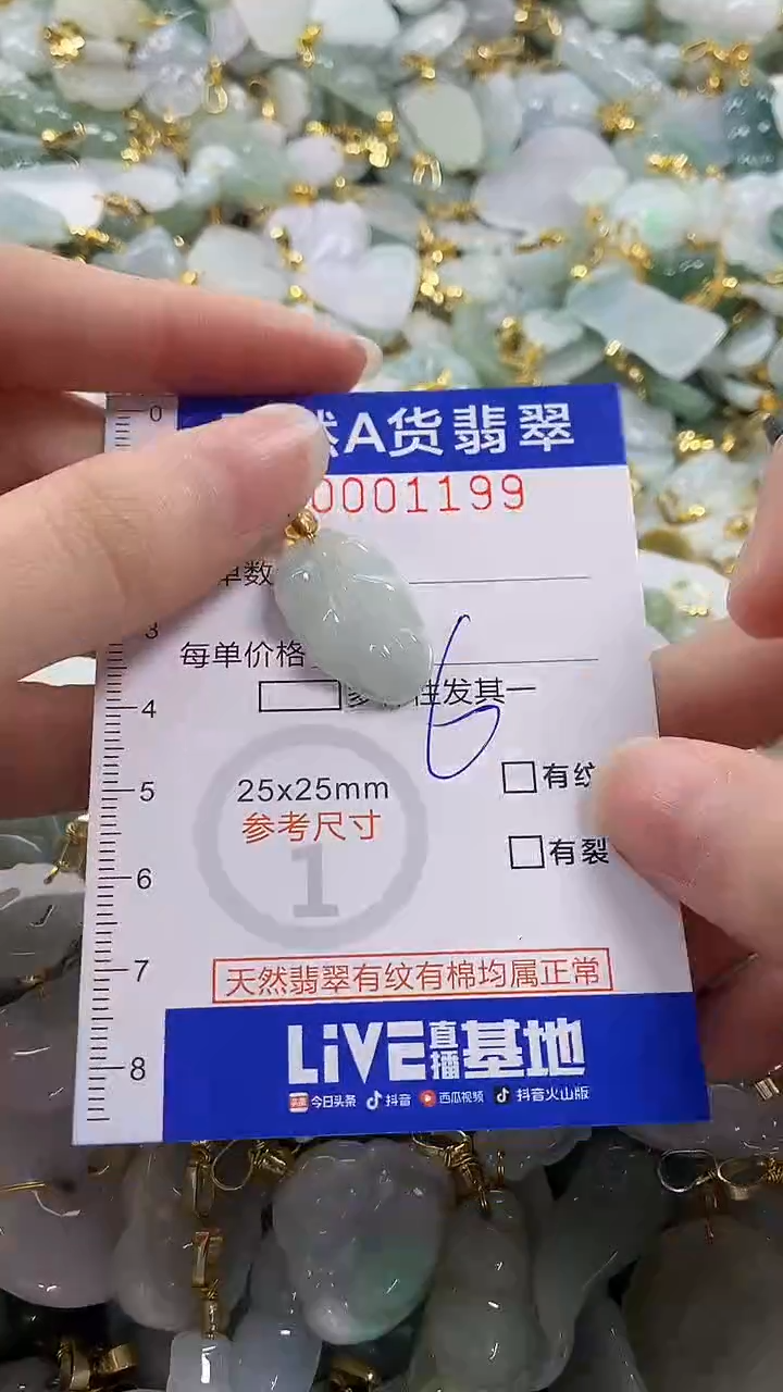 颈饰未镶嵌翡翠纯天然a货翡翠