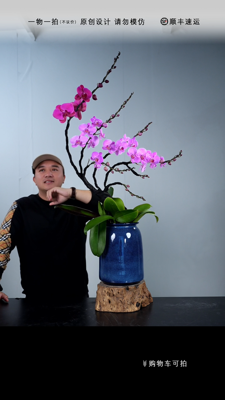 【闪购商品】030号链接【一物一拍】艺术盆景