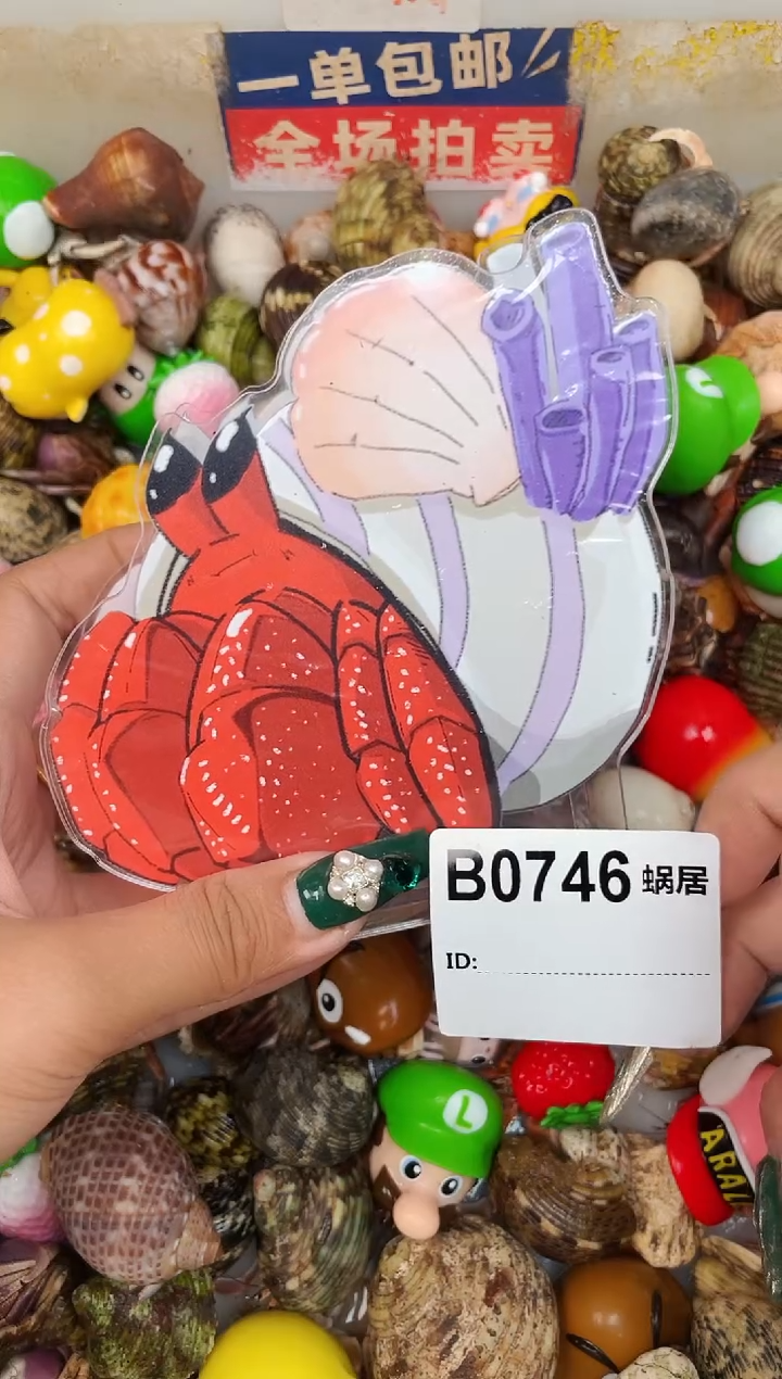 陌派甄选寄居蟹0746