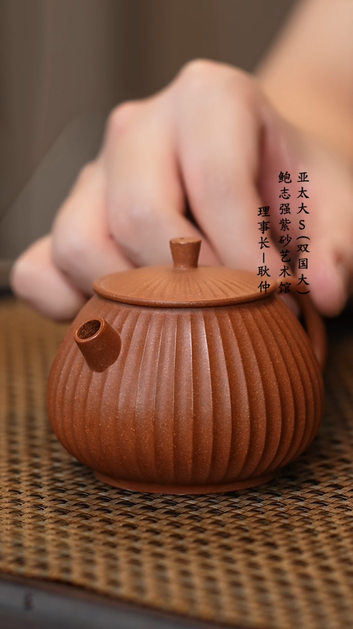 【闪购商品】紫砂茶壶原矿降坡泥东篱