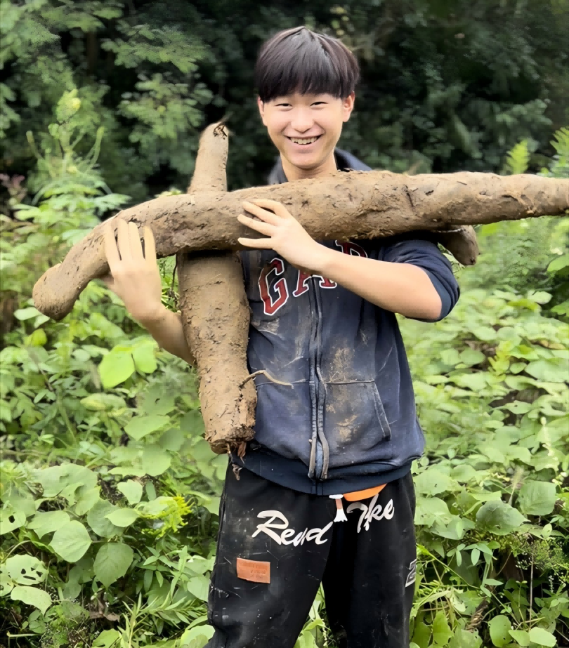 【留守少年】正宗野生柴葛根粉营养代餐冲泡即食