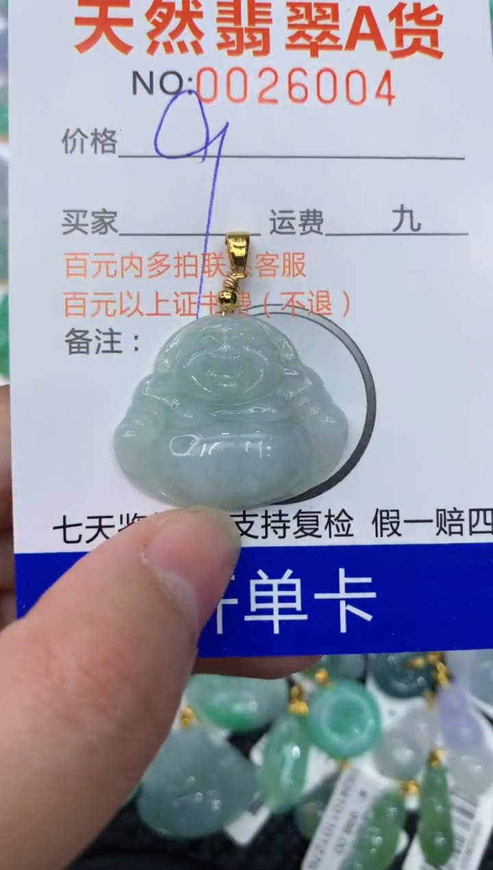 【闪购商品】翡翠颈饰合金111111111