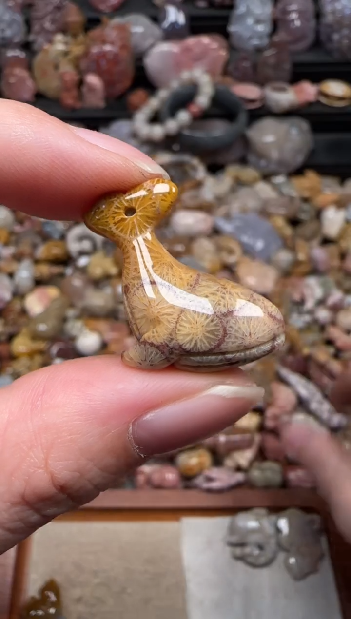 颈饰未镶嵌硅化珊瑚（珊瑚玉）190