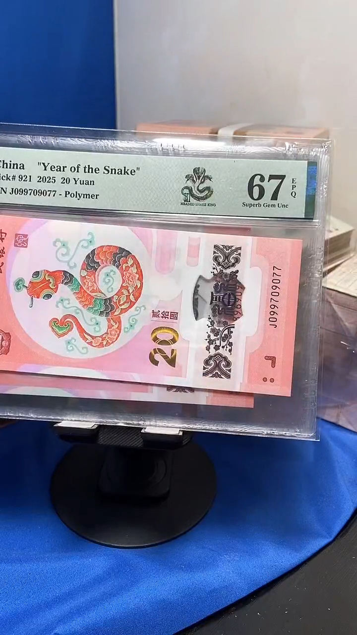 塑料蛇三金钩王099709077..