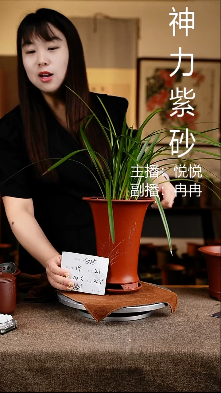 紫砂花盆花卉工艺845+z