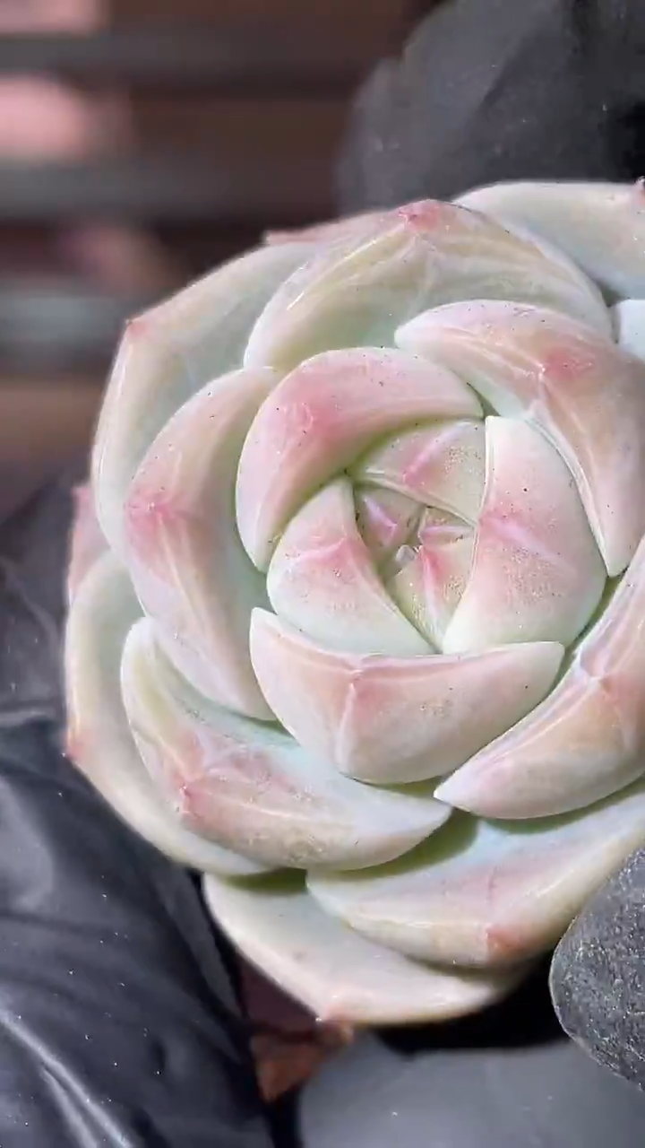 34-92 玻璃厂牌3-4厘米量拍发一颗