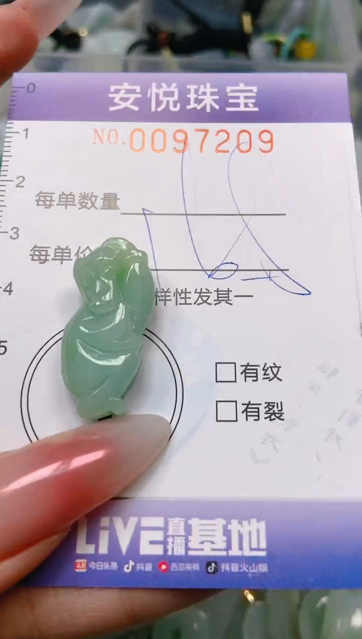 【闪购商品】翡翠颈饰未镶嵌闪购0097209多样性发其一