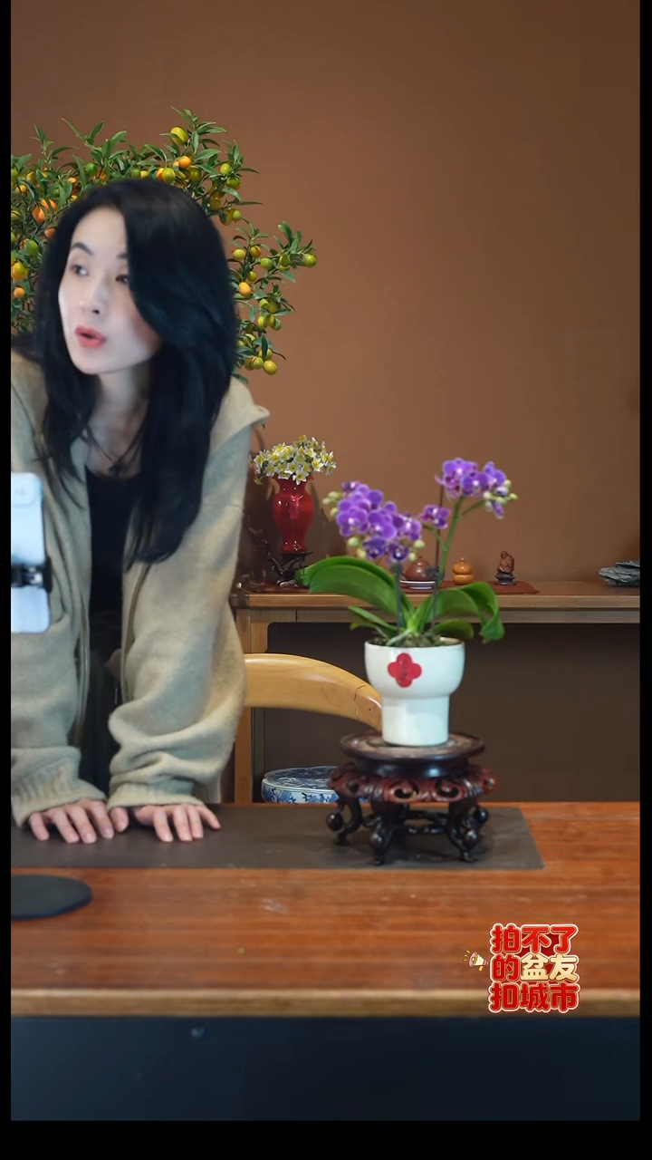 全部花朵紫色花语