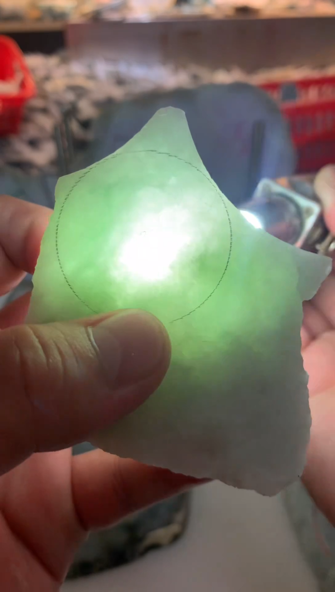 裸石翡翠0林0翡翠珠宝650