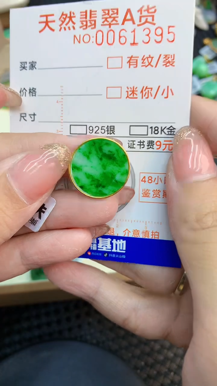 翡翠银S925镶嵌颈饰            8