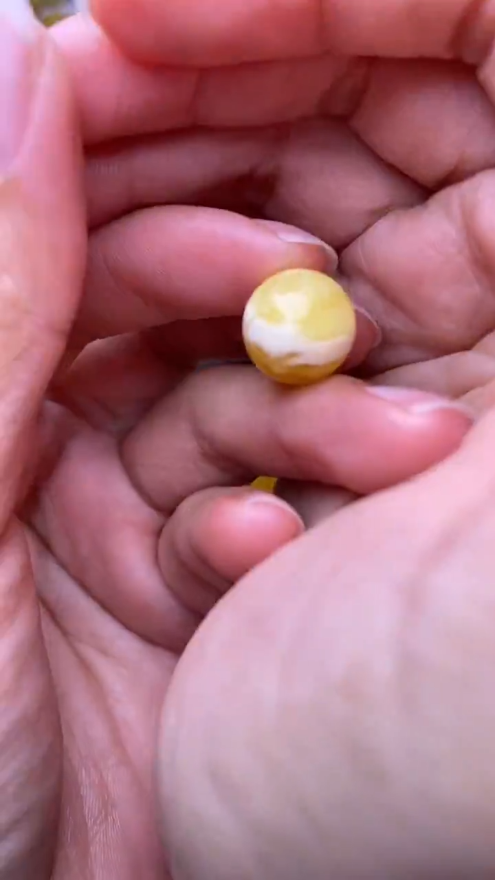 裸石蜜蜡未镶嵌葵.40
