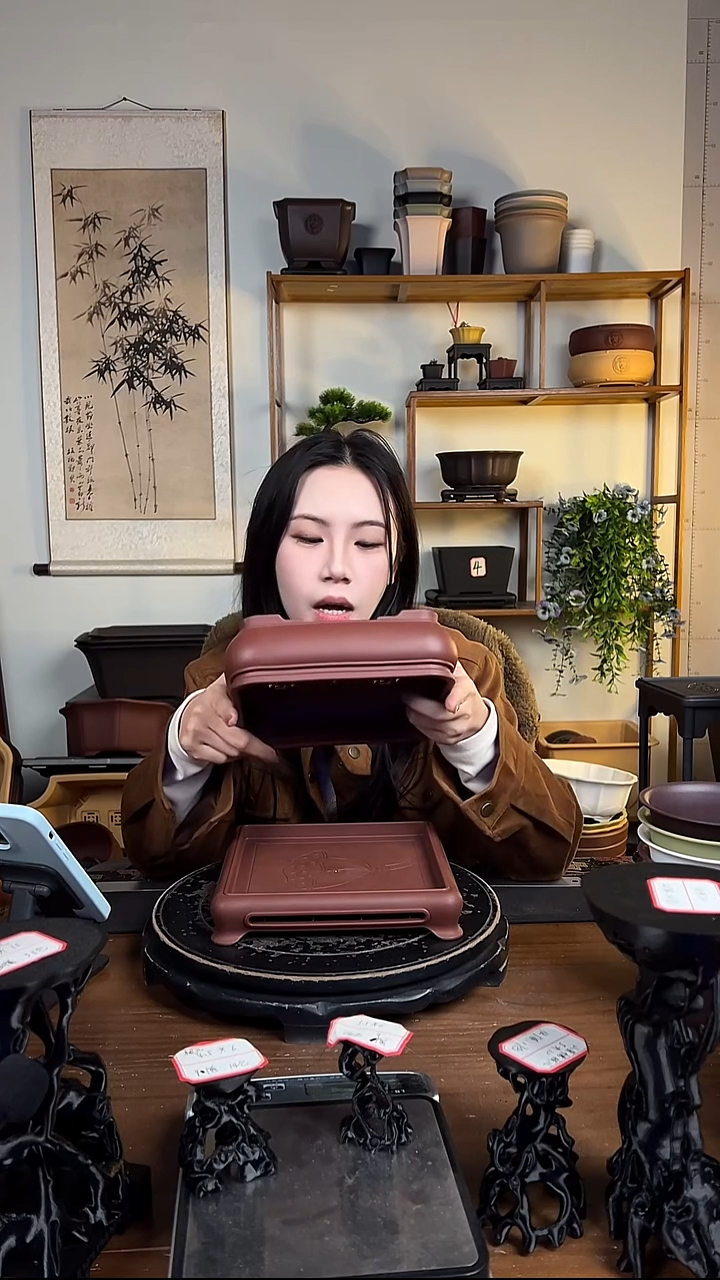 22*16双沿盆 马卡龙色系5只