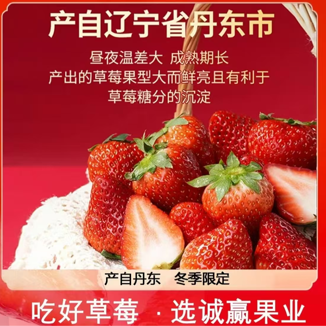 正宗丹东九九红颜奶油草莓
