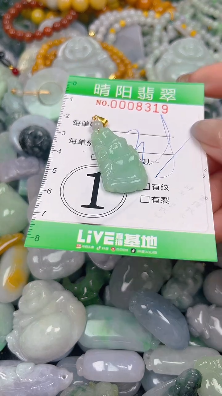 翡翠未镶嵌颈饰闪购0008319