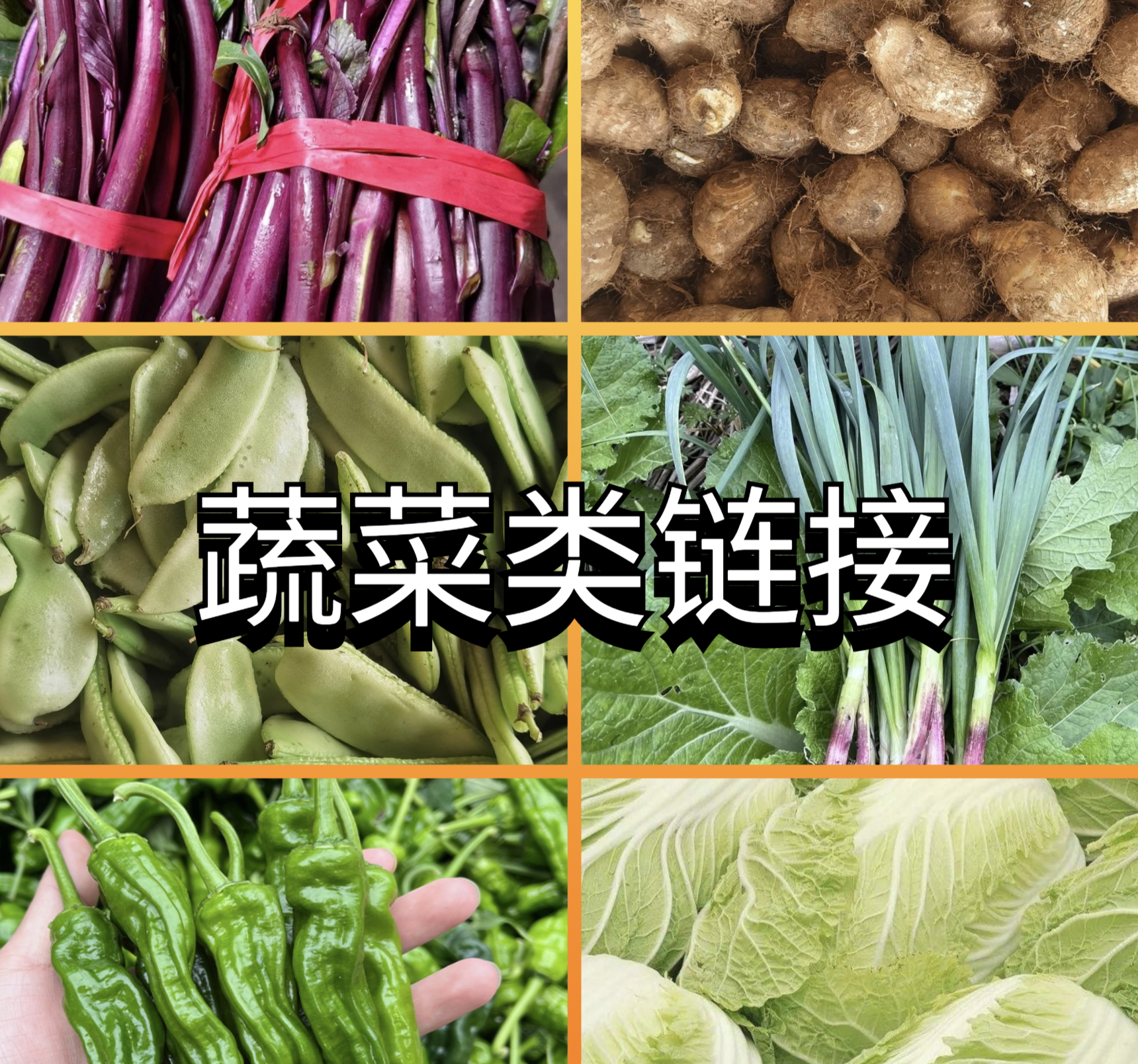 （新亮新农人）2号湖南乡村农家蔬菜