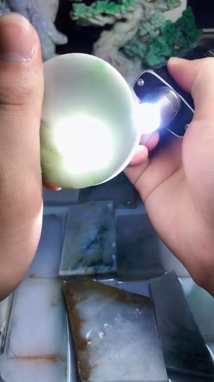 翡翠未镶嵌颈饰翡翠A货