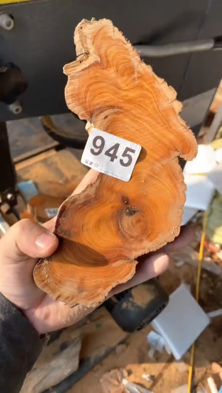 【闪购商品】柏木太行陈化崖柏（津诚林）切片