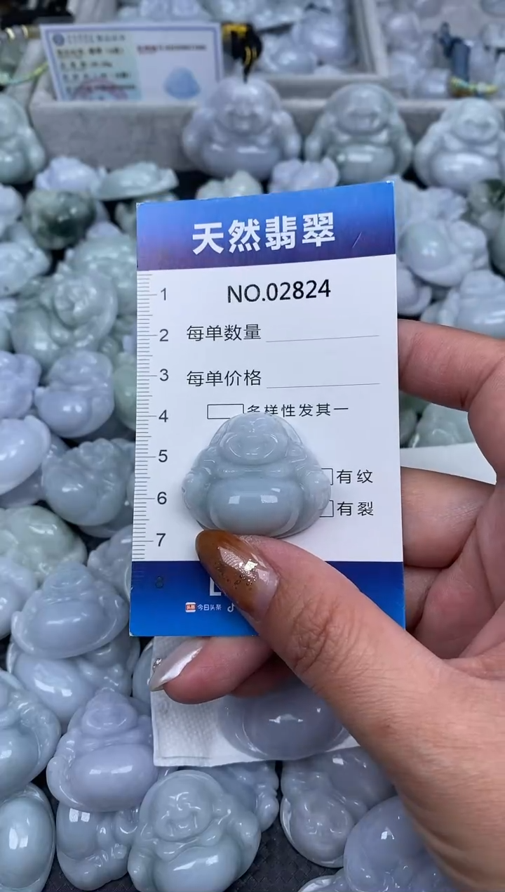 颈饰未镶嵌翡翠纯天然A货缅翡2824