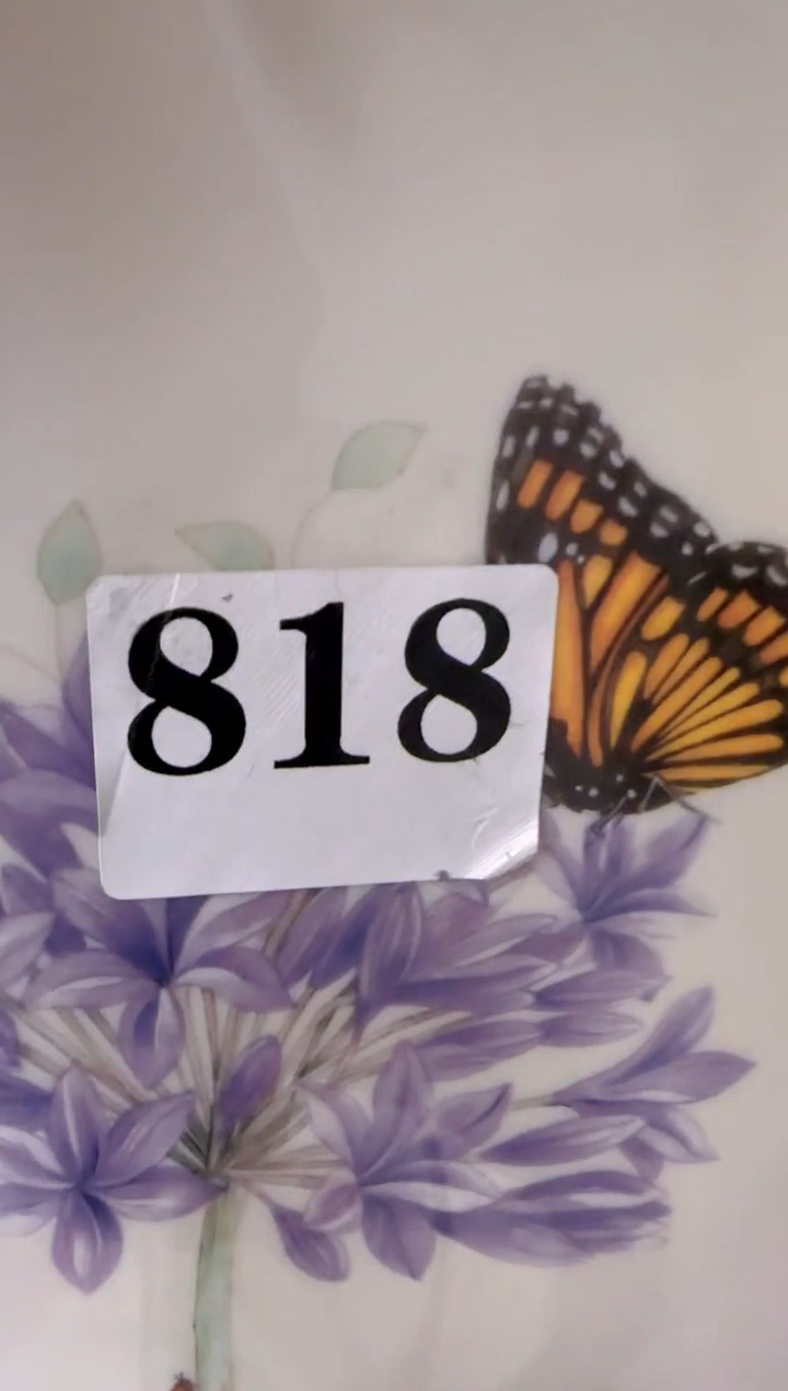 用****9盘子瓷*****************