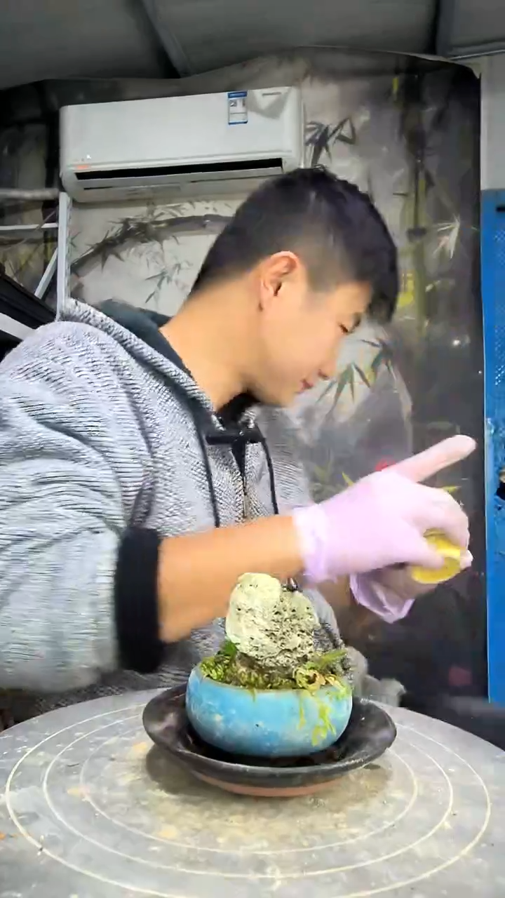 该****…中青园艺一物一拍花123