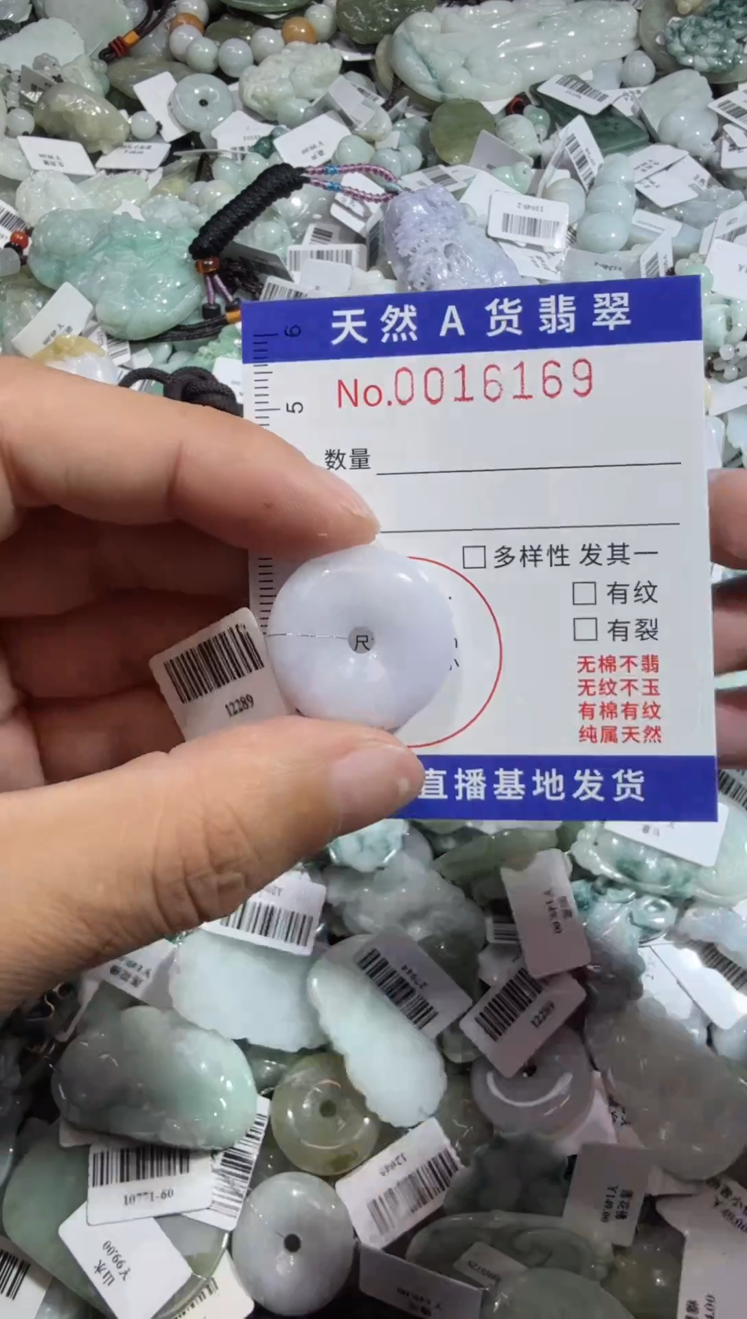 【闪购商品】翡翠颈饰未镶嵌00016169
