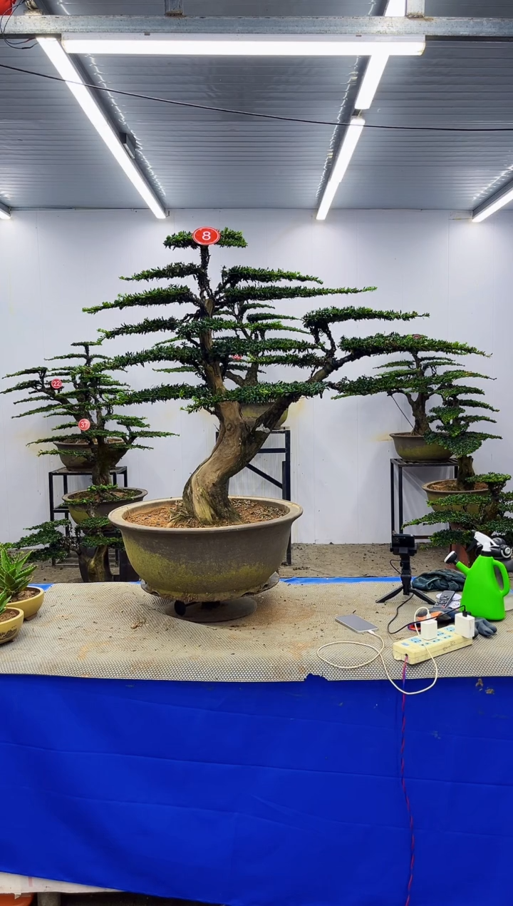 以实际为准尹****板一物一拍，所见即所得