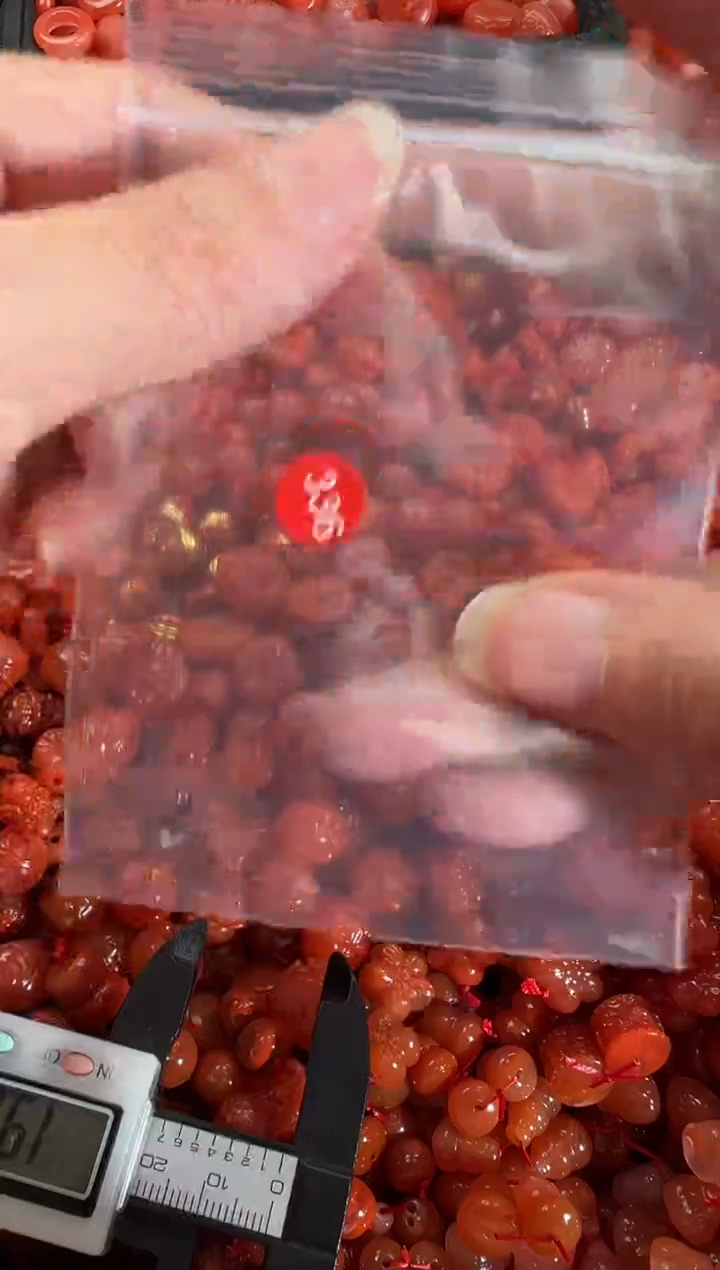 【闪购商品】南红玛瑙颈饰未镶嵌1