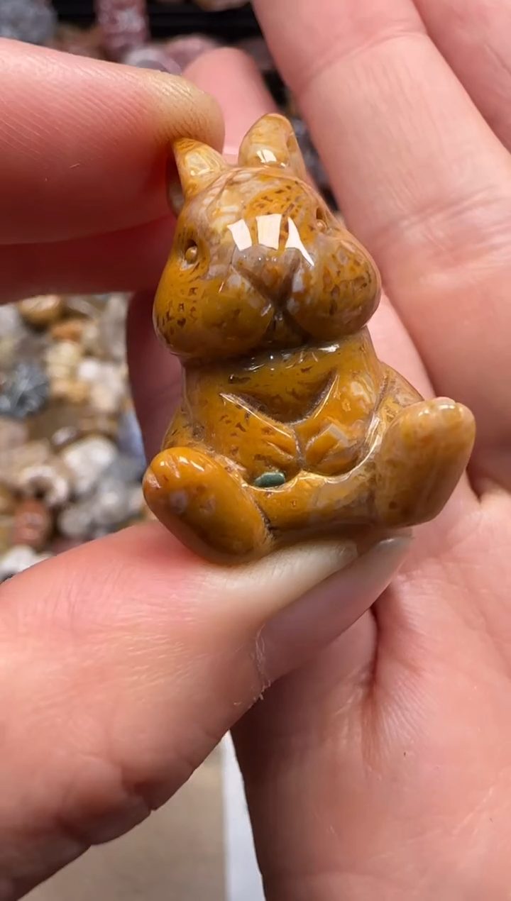 【闪购商品】硅化珊瑚（珊瑚玉）颈饰未镶嵌514