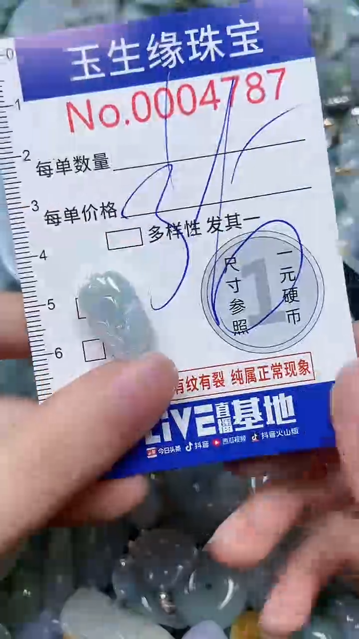 【闪购商品】翡翠颈饰未镶嵌闪购00004787