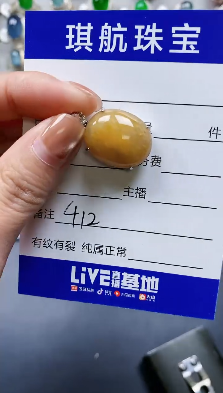 【闪购商品】翡翠颈饰银S925镶嵌0412