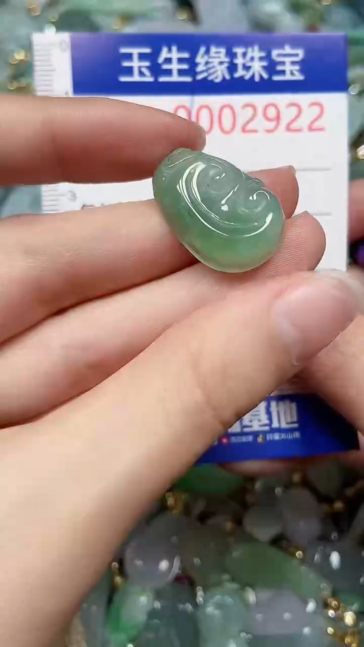 【闪购商品】翡翠颈饰未镶嵌闪购00002922