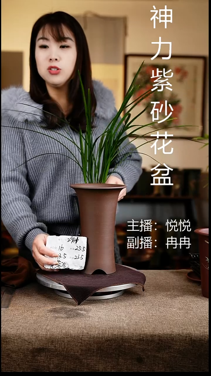 紫砂花盆花卉工艺2981