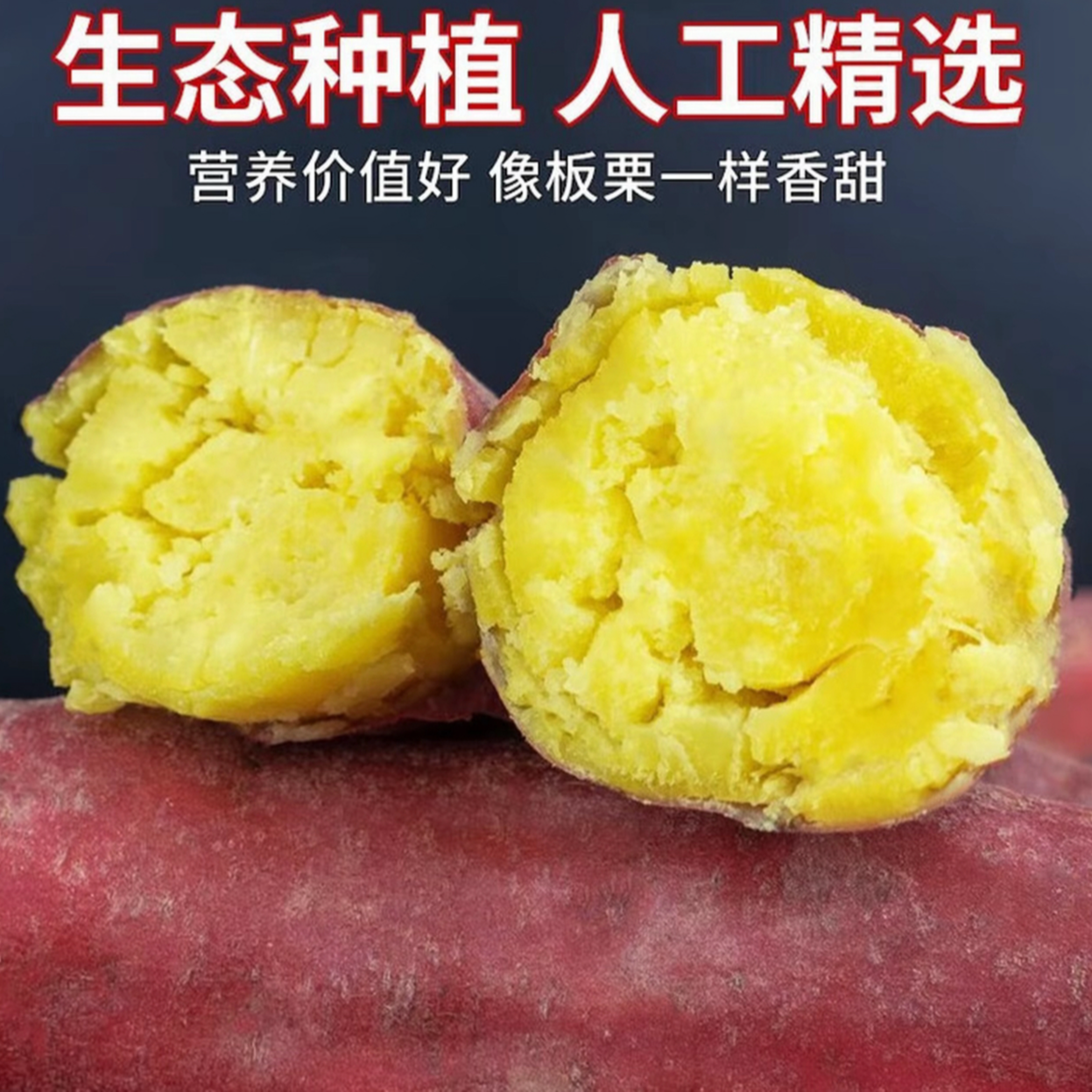 【买3斤送2斤重5斤】新鲜现挖正宗陕西沙地板栗红薯粉糯香甜包邮