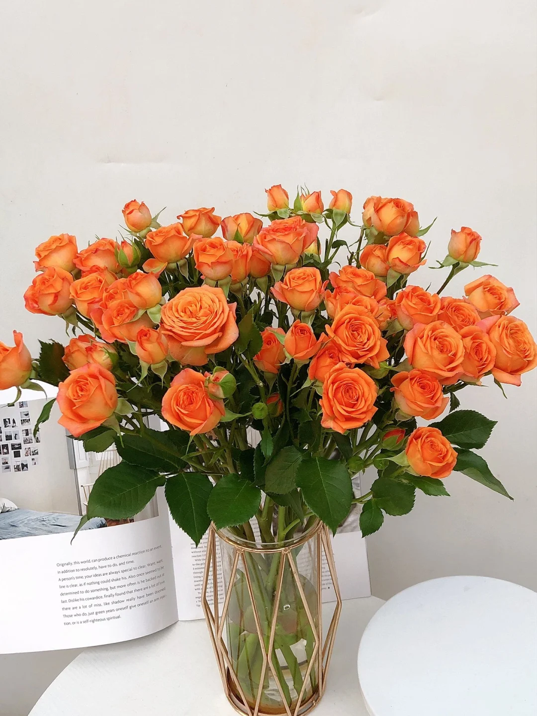【橙色芭比AK】10支多头玫瑰 基地直发   | 全场任意满两单鲜花包邮