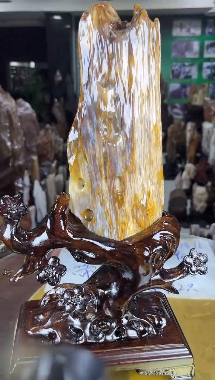 未镶嵌珠宝奇石硅化玉缅甸天然树化玉精品居家摆件