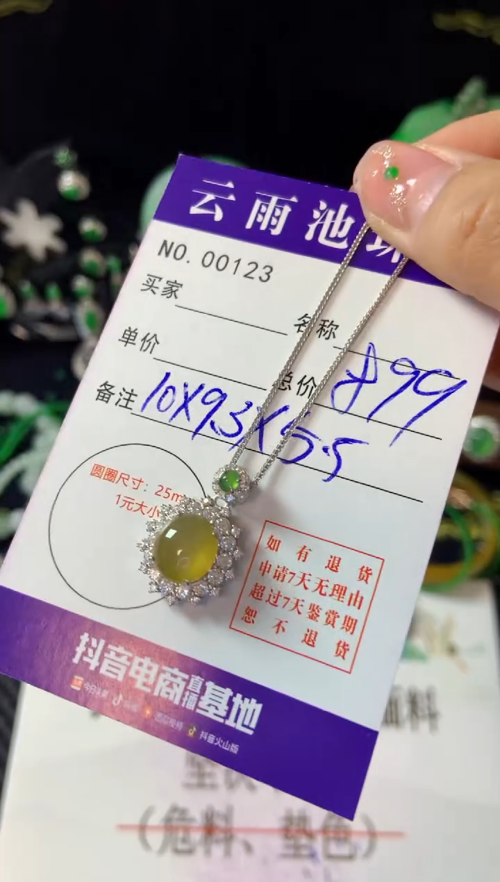 【闪购商品】翡翠颈饰银S925镶嵌翡翠