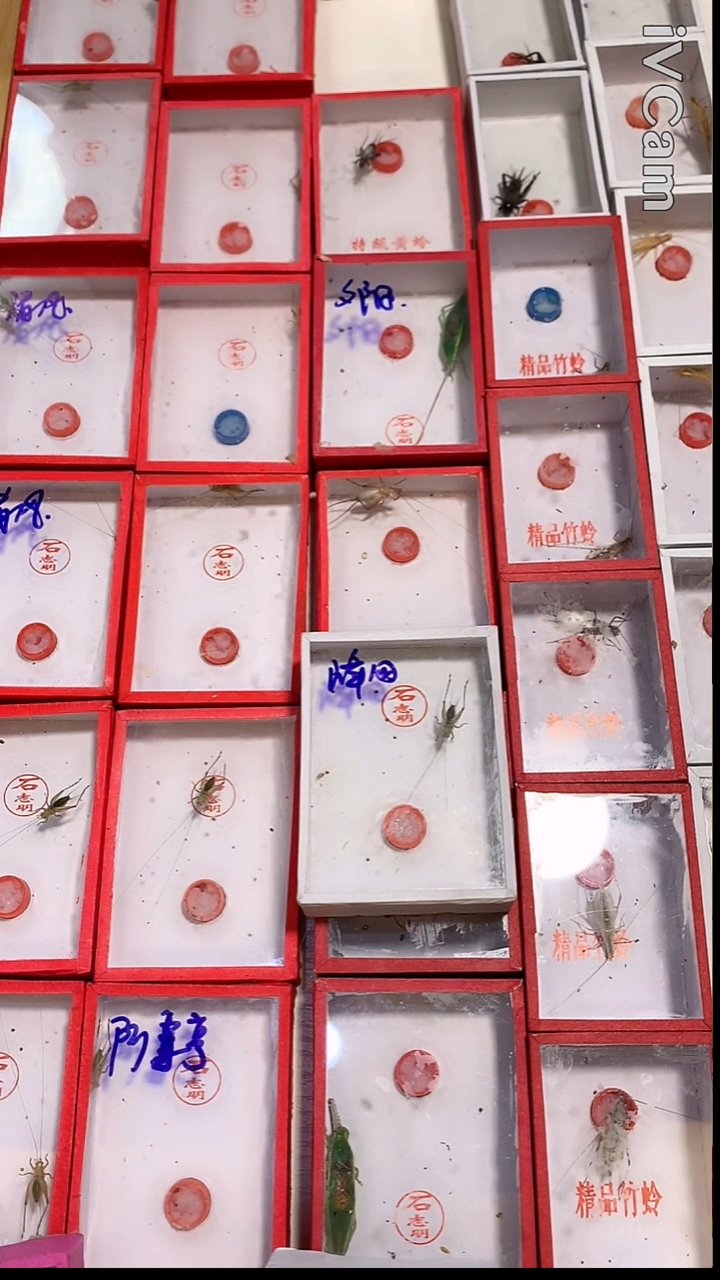 峰**转石志明沪B一条