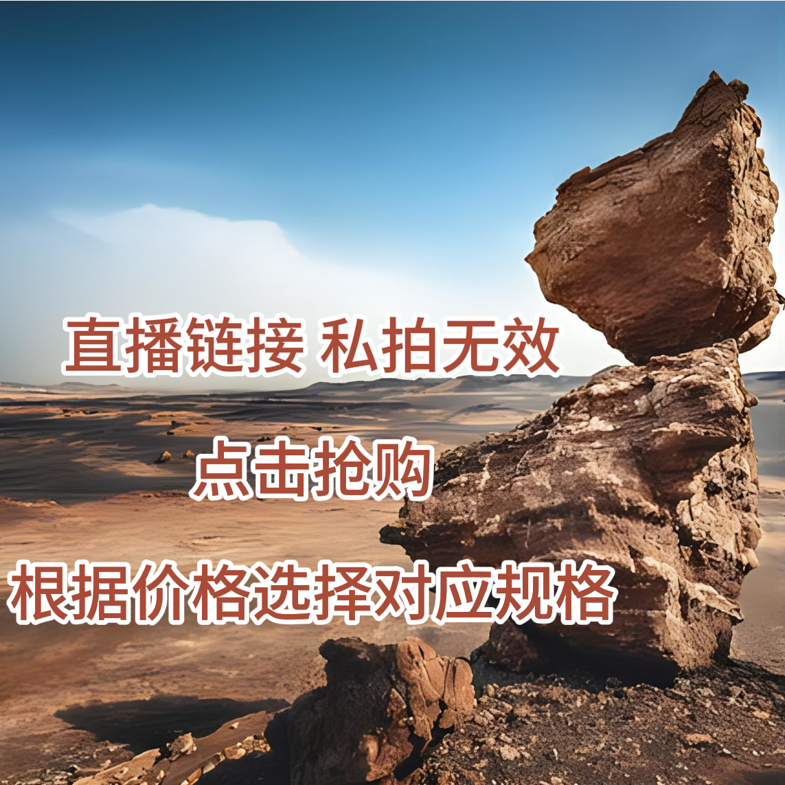 特色摆件奇石摆件价位10-990区间（象形石、画面石、手把件）