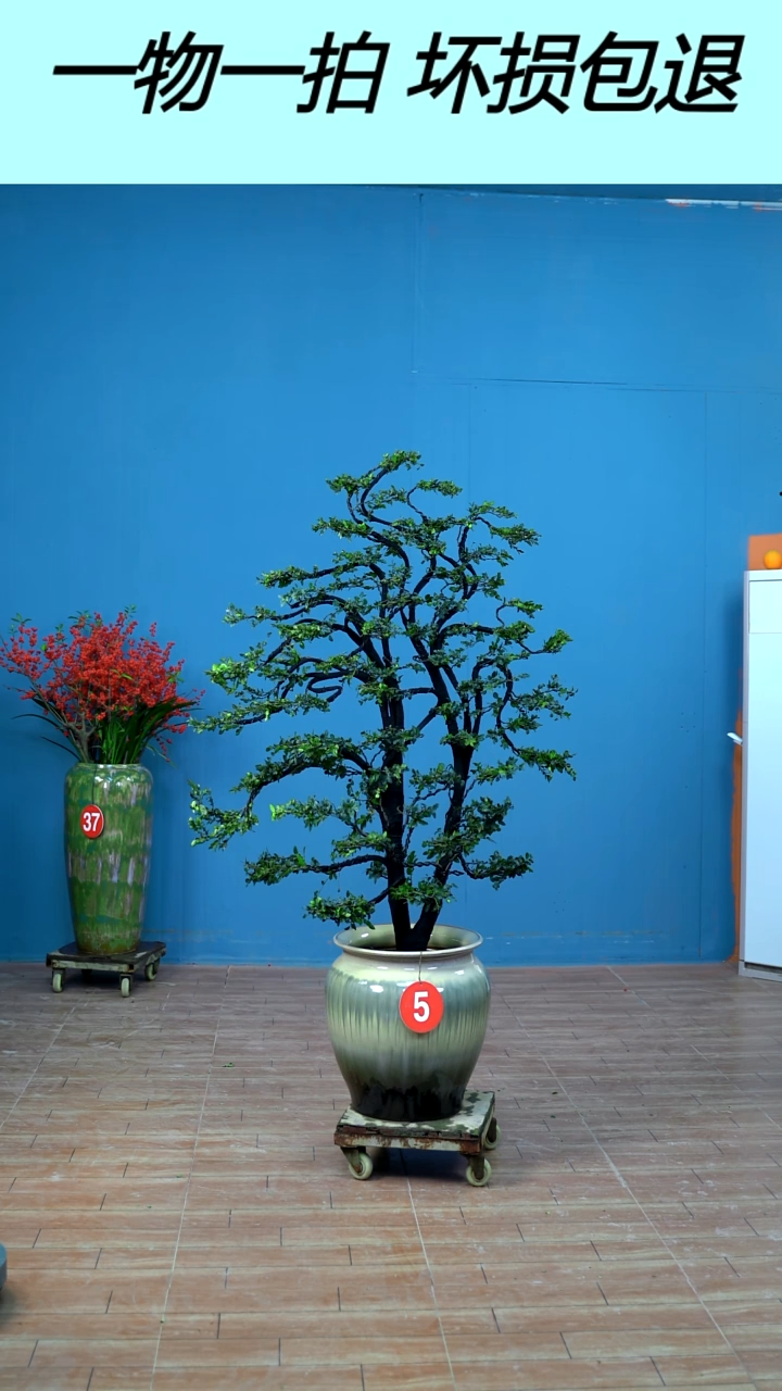 以实际为准广东小叶紫檀5号