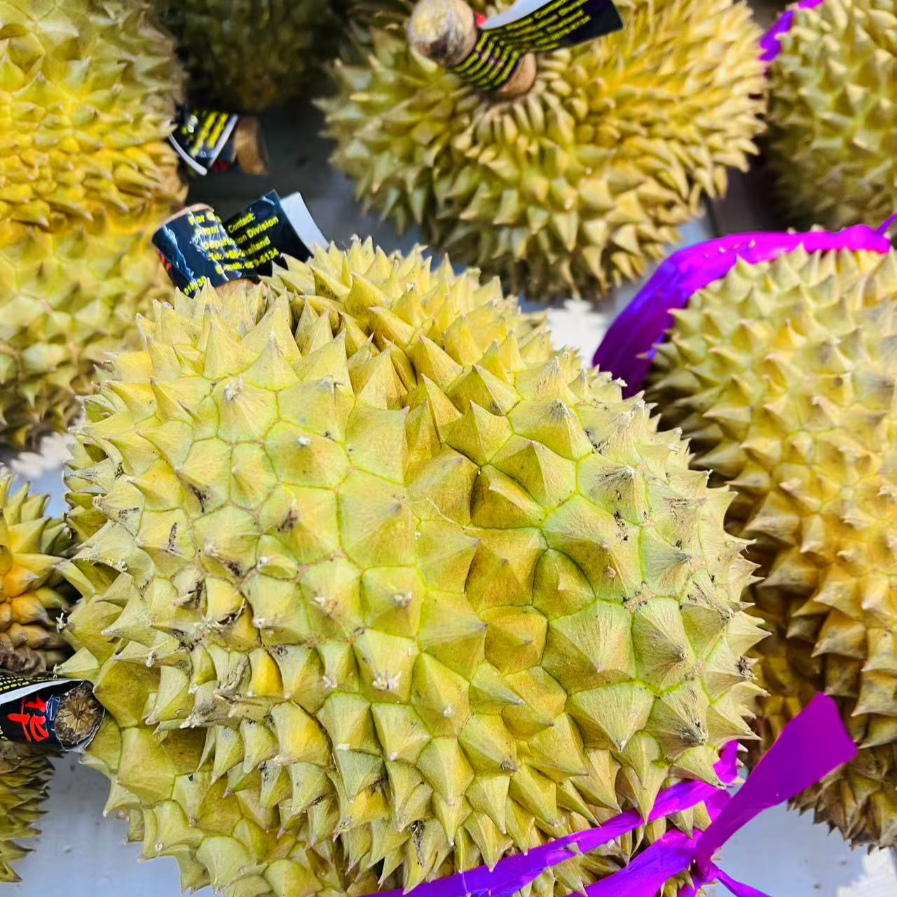 【来此购专属】特级金枕鲜榴莲核小29.9元一斤，现称现改榴莲同城送金枕泰国