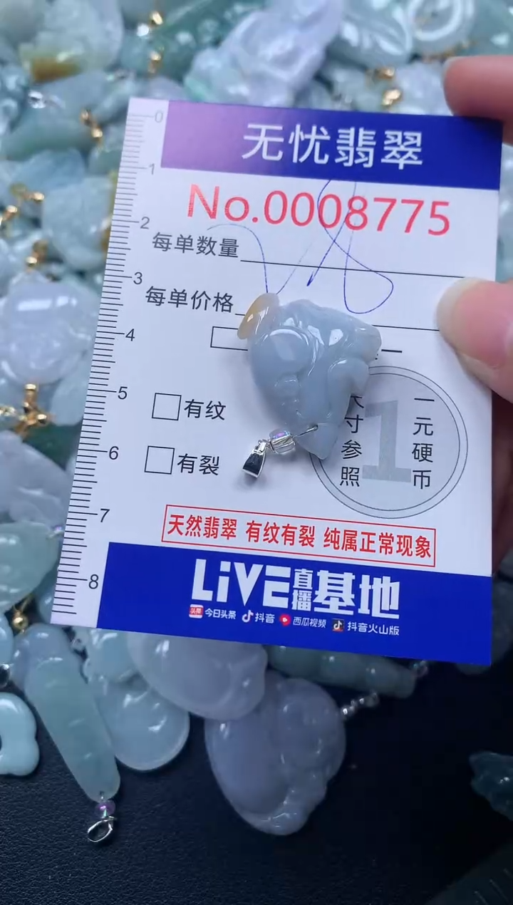 颈饰未镶嵌翡翠8775