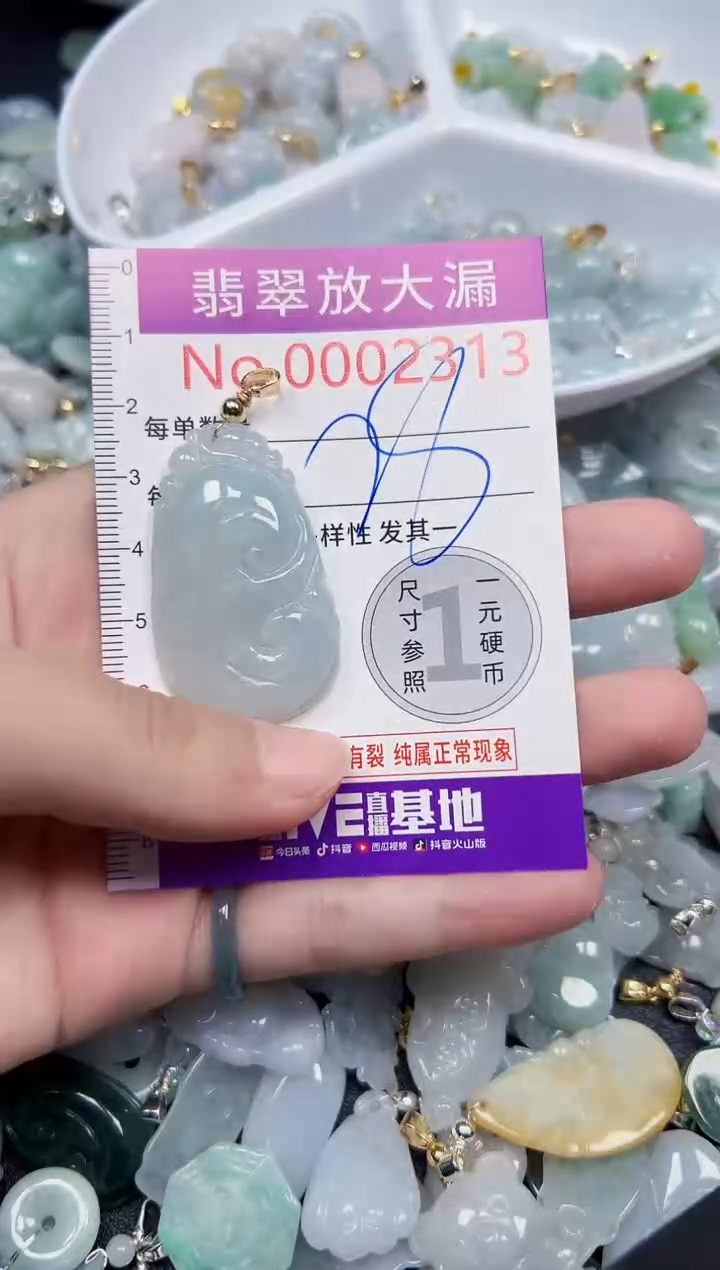 颈饰未镶嵌翡翠2313