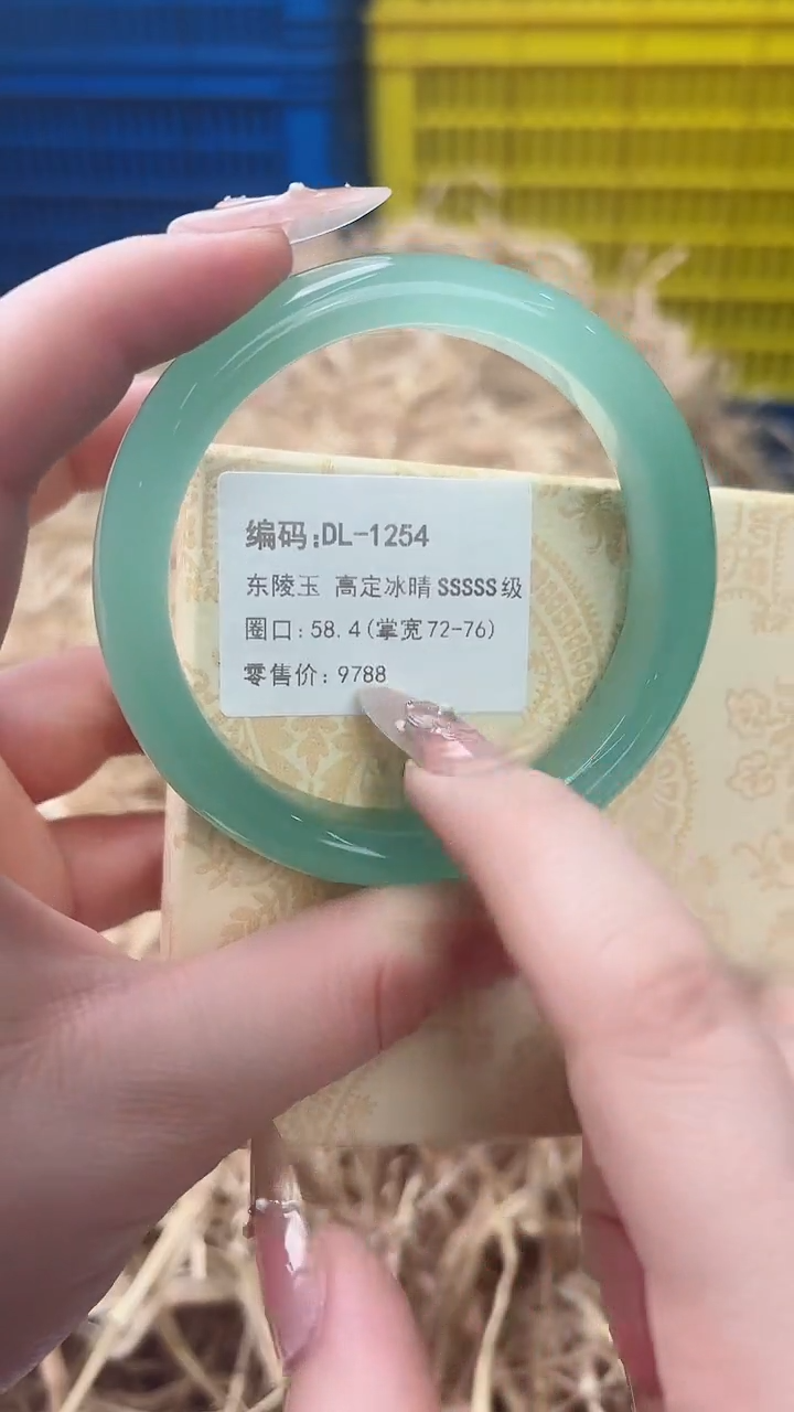 未镶嵌手镯石英质玉DL-1254