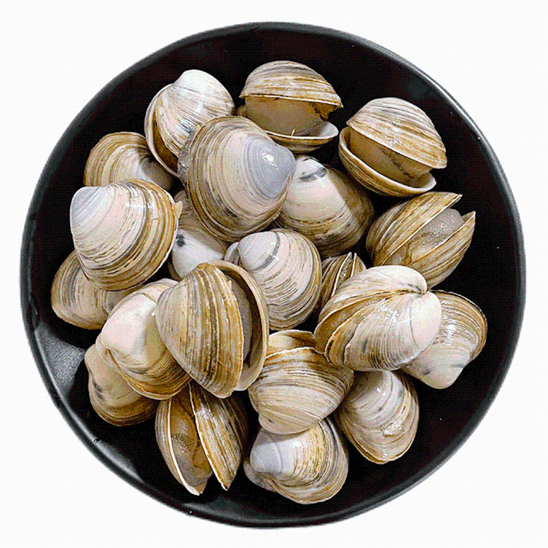 【散】白贝 约500g±50g/份